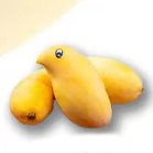 四季蜜芒